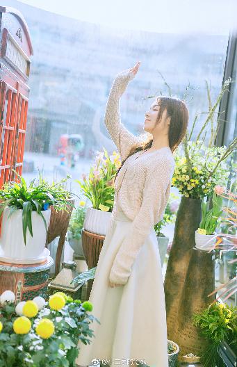 灭火宝贝2:决战丛林